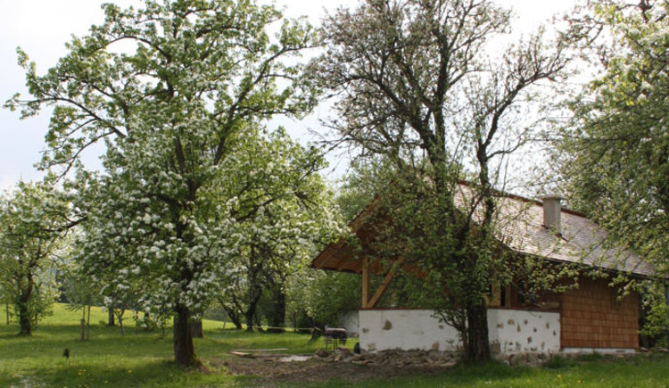 Monteur-Zimmer - Preis pro Nacht - Gosau - Familie Seidl