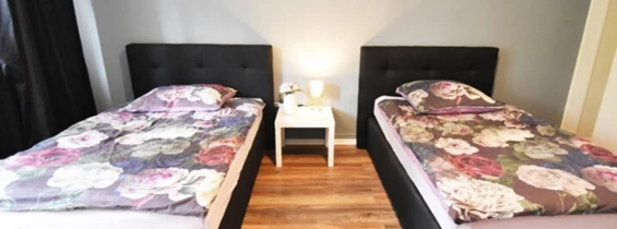 MonteurZimmer: City Loft am Friesenplatz