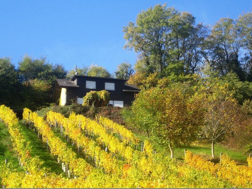 Monteur-Zimmer - Unterlamm (Unterlamm) - FERIENHAUS FRÖHLICH