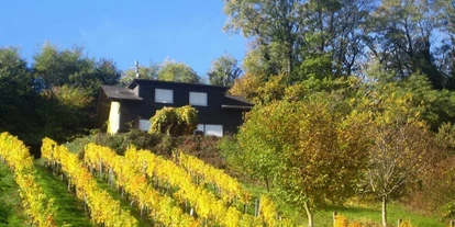 Monteur-Zimmer - Preis pro Nacht - FERIENHAUS FRÖHLICH