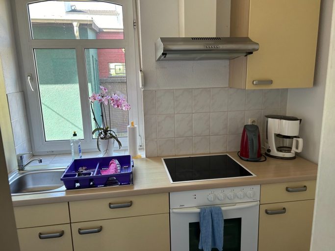 Monteur-Zimmer - Colditz - Pension Lienau's Pub