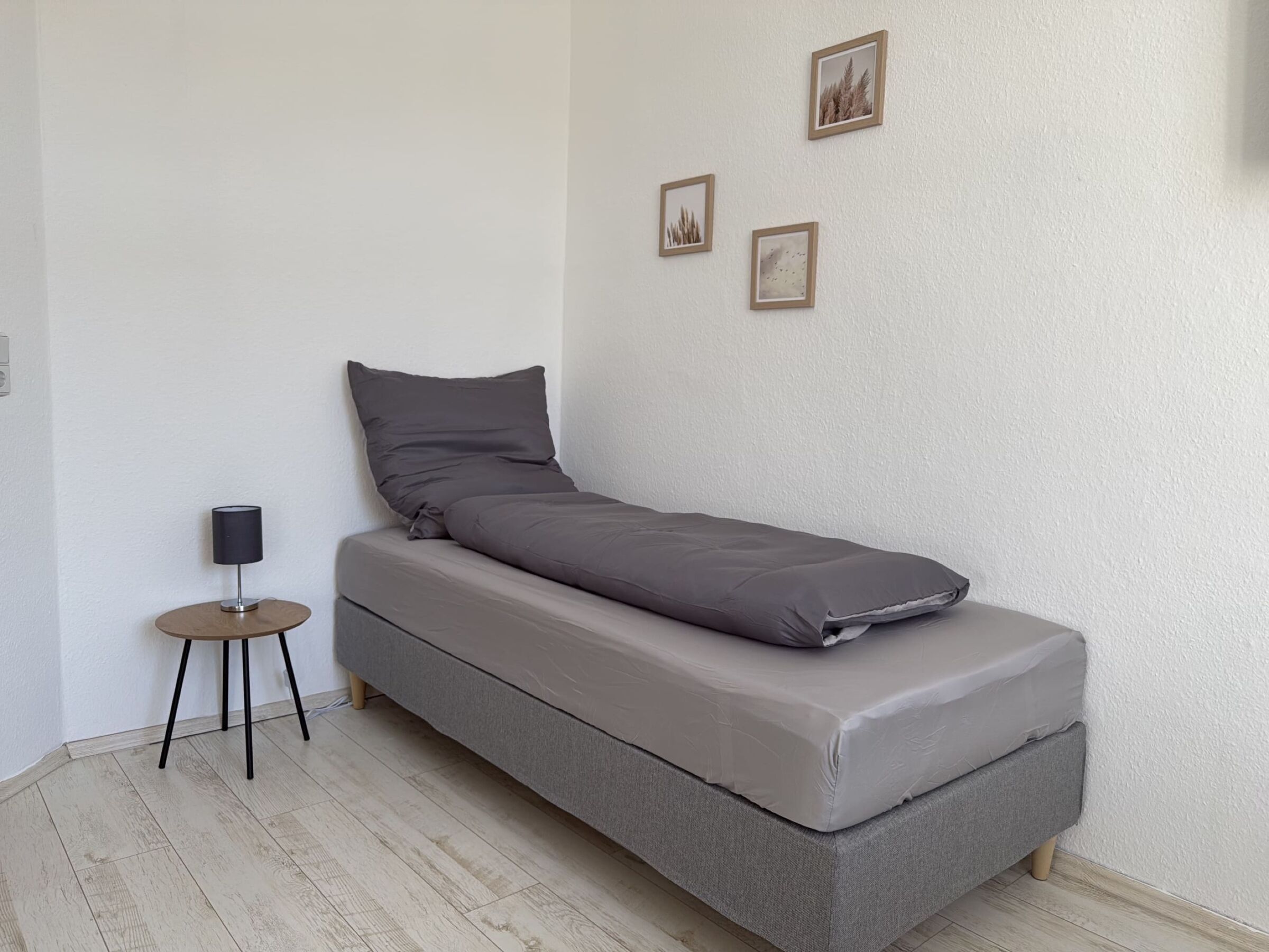 Monteur-Zimmer - Colditz - City Apartments in Chemnitz (incl. free private parking)