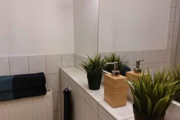 Monteur-Zimmer - Colditz - Großzügiges Haus mit riesigem Park in Mittweida