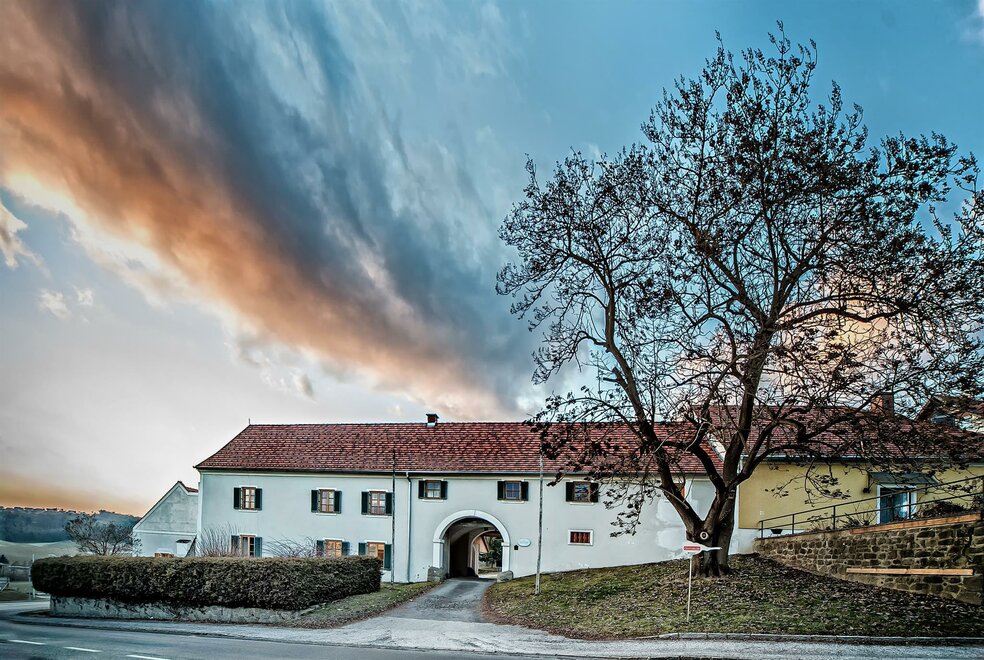 Monteur-Zimmer - Preis pro Nacht - Bad Blumau - Ferienwohnung Gutshof