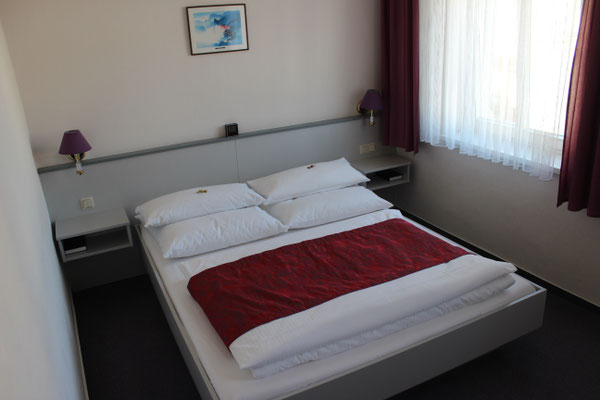 Monteur-Zimmer - Chemnitz - Aparthotel 1A