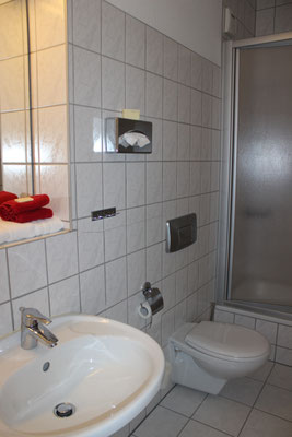 Monteur-Zimmer - Chemnitz - Aparthotel 1A