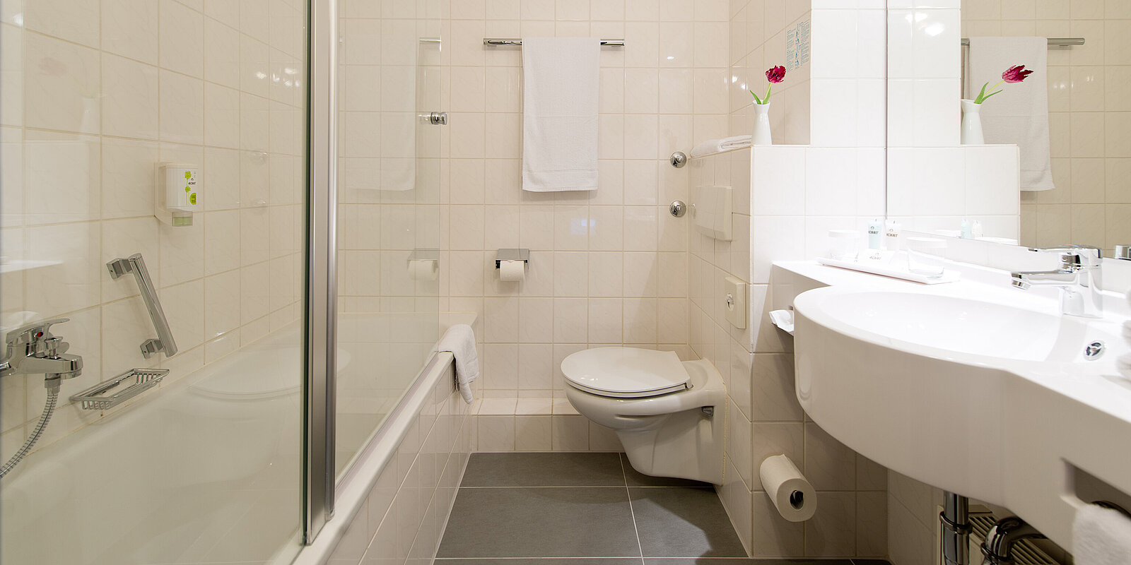 Monteur-Zimmer - Chemnitz - ACHAT Hotel Zwickau