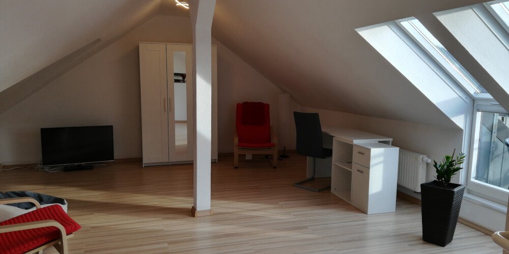 Monteur-Zimmer - Chemnitz - Ferienwohnung MKopp 9