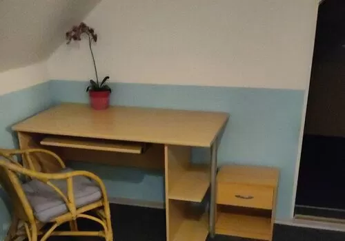 Monteur-Zimmer - Chemnitz - Kleine gemütliche Ferienwohnung/Montagewohnung