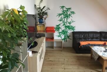 Monteur-Zimmer - Chemnitz - Dachgeschoß Fe-Wo im LK Zwickau 65 m² max.6 Pers.