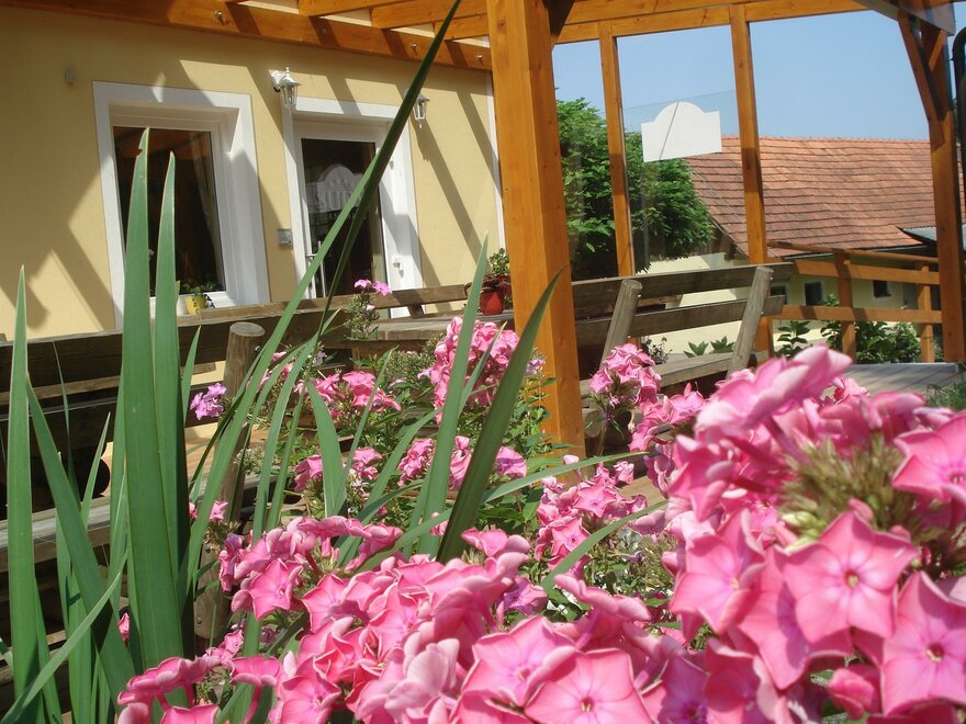 Monteur-Zimmer - Kaindorf (Leibnitz) - Landhaus/Privatzimmer Sudy