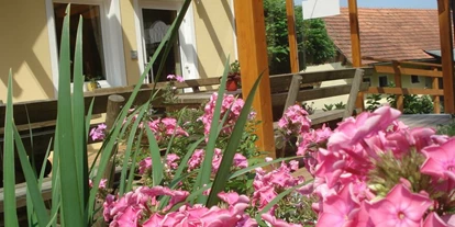 Monteur-Zimmer - Söchau - Landhaus/Privatzimmer Sudy