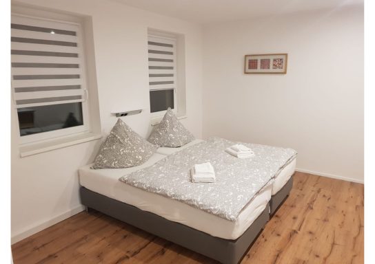 Monteur-Zimmer - Chemnitz - Apartment Zwickau