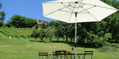 Monteur-Zimmer - Söchau - Ferienhaus Sternchen