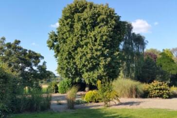 Monteur-Zimmer - Preis pro Nacht - Deutschland - Gästehaus Mersch