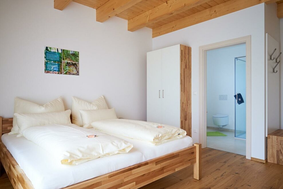 Monteur-Zimmer - Kaindorf (Leibnitz) - Gästehaus Lipp'n Sepp St. Anna am Aigen