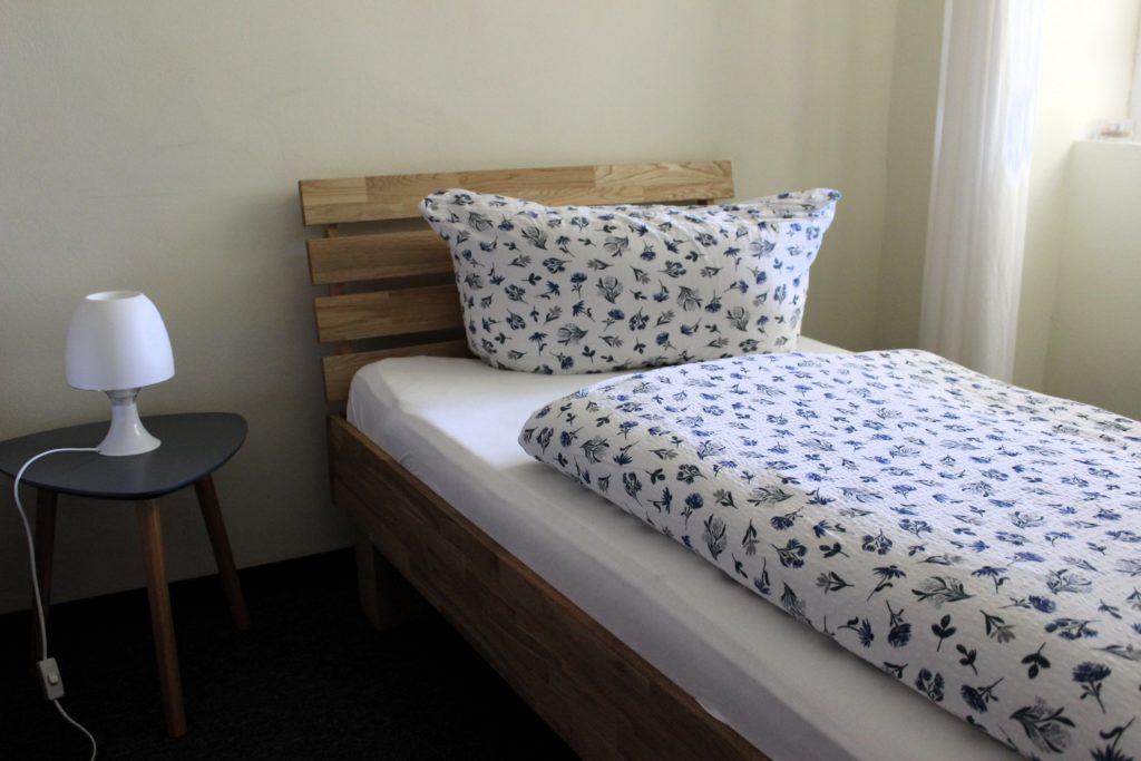 Monteur-Zimmer - Mecklenburg-Vorpommern - The Avalon Hotel, Schwerin