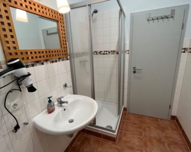 Monteur-Zimmer - Mecklenburg-Vorpommern - Ferienwohnung Mittendrin