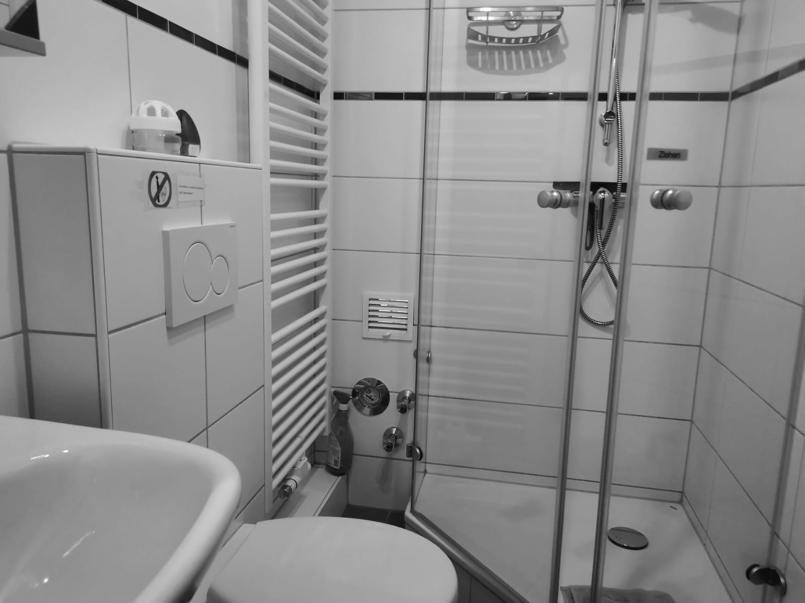 Monteur-Zimmer - Koblenz (Koblenz, kreisfreie Stadt) - Wohnen auf Zeit Koblenz