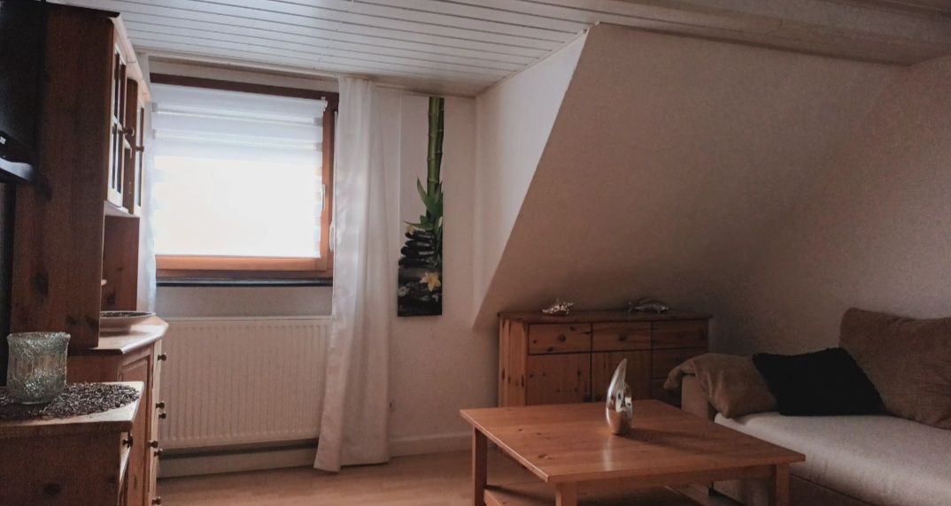 Monteur-Zimmer - Mündersbach - Ferienwohnung Conrad