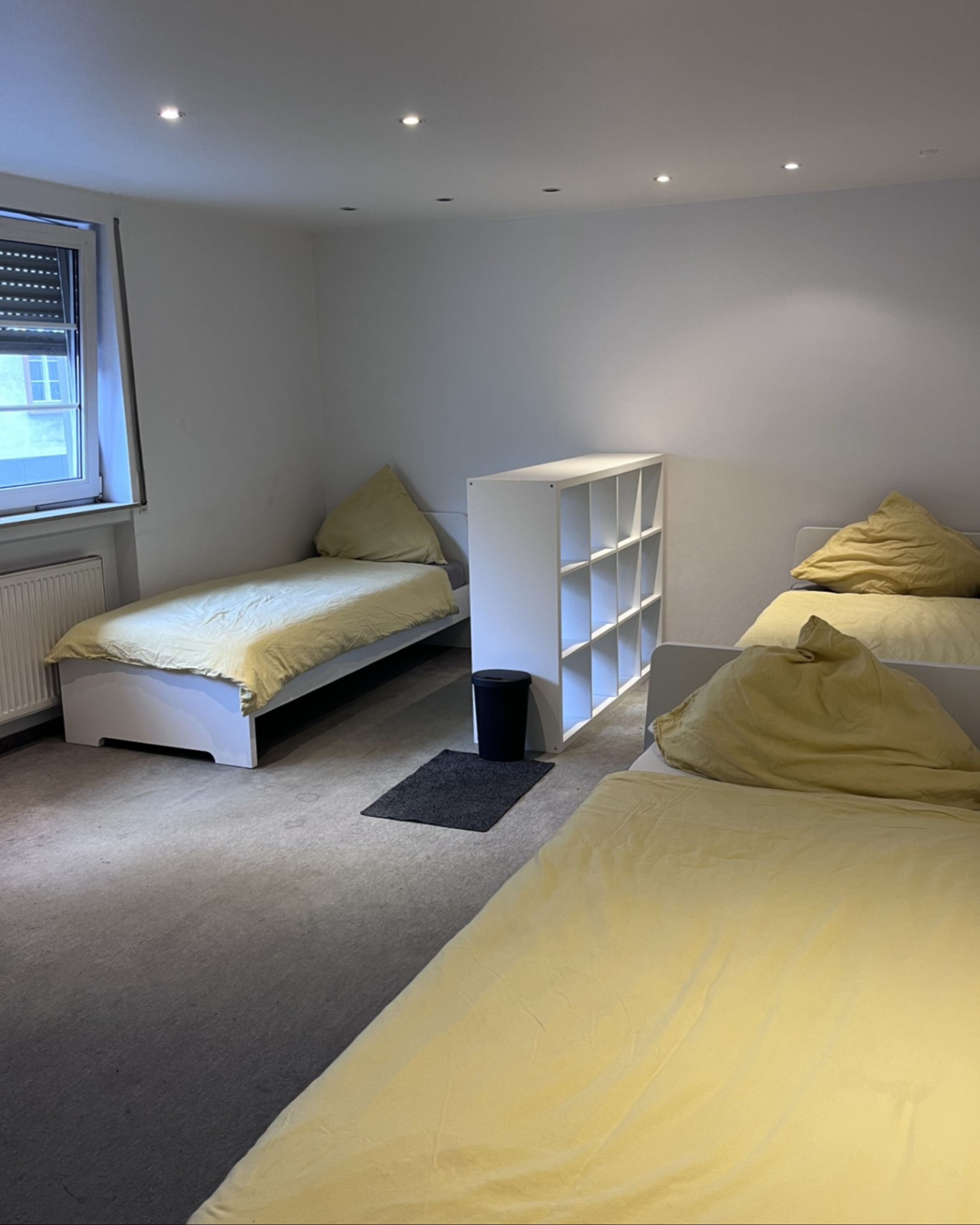 Monteur-Zimmer - Mündersbach - Große Wohnung (160qm) in Koblenz Ehrenbreitstein