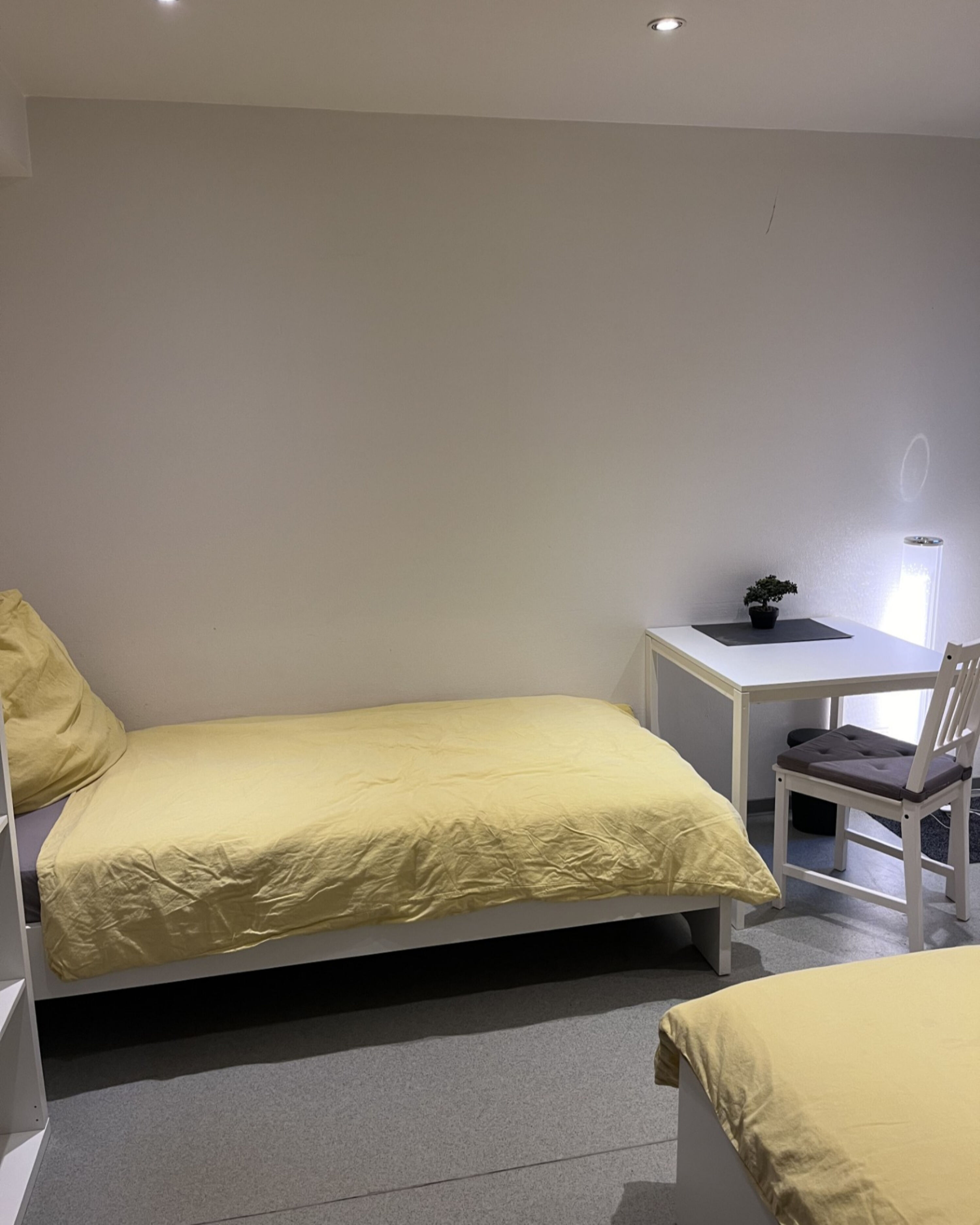 Monteur-Zimmer - Mündersbach - Große Wohnung (160qm) in Koblenz Ehrenbreitstein