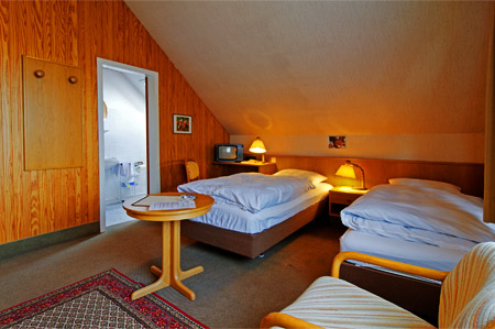 Monteur-Zimmer - Preis pro Nacht - Algermissen - Altes Forsthaus Hotel Garni