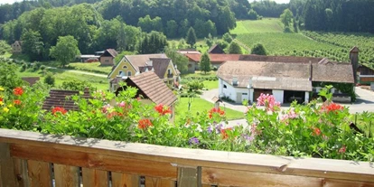 Monteur-Zimmer - Klettendorf - Bauernhof Grain
