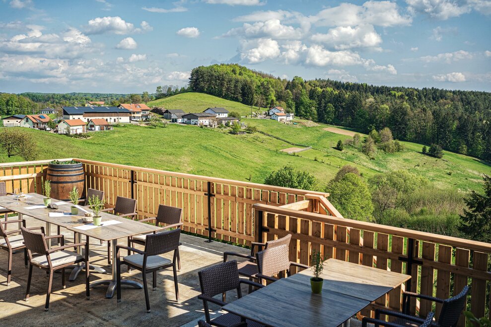 Monteur-Zimmer - Preis pro Nacht - Weitendorf (Wildon) - Kollerwirt