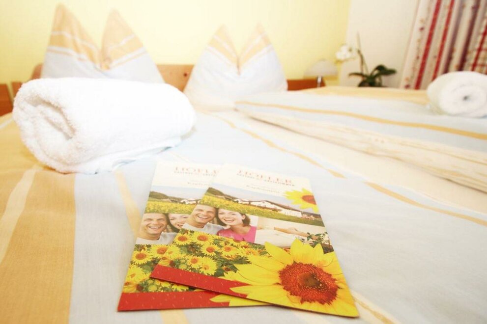 Monteur-Zimmer - Preis pro Nacht - Weitendorf (Wildon) - Gasthaus Höfler in Mahrensdorf bei Kapfenstein