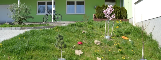 MonteurZimmer: Pension Waldesruh