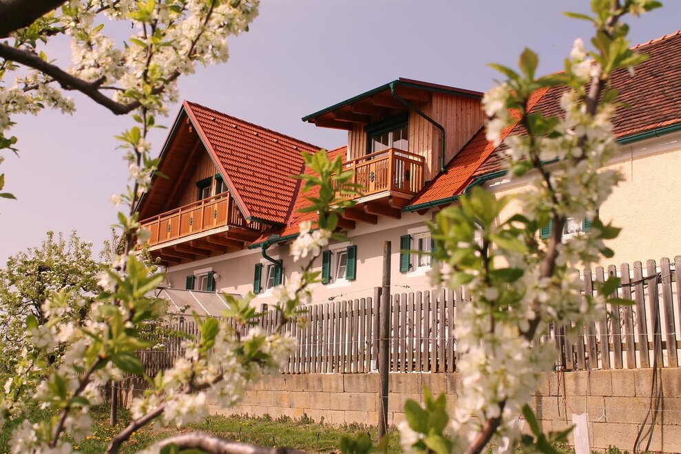 Monteur-Zimmer - Preis pro Nacht - Feldkirchen bei Graz -  Obst- & Gästehof Brandl