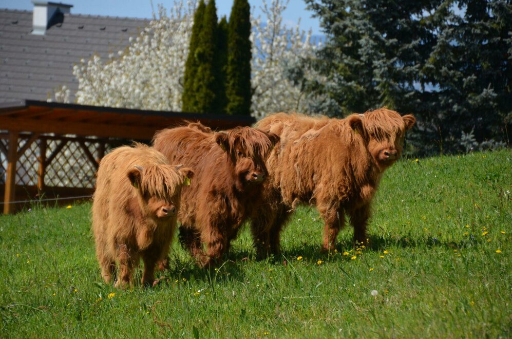 Monteur-Zimmer - Klettendorf - Familie Fiedler – Sonntagsberg Hof