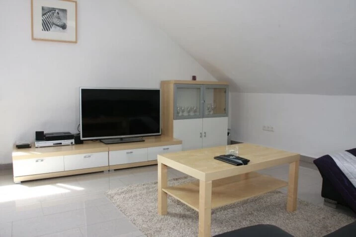 Monteur-Zimmer - Regensburg - Apartment Pirkensee