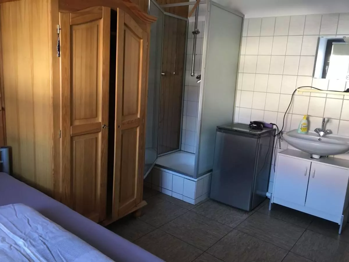 Monteur-Zimmer - Regensburg - Gasthaus zur Krone