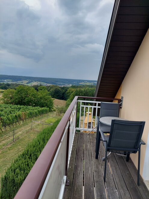 Monteur-Zimmer - Österreich - Elfi's Gästehaus