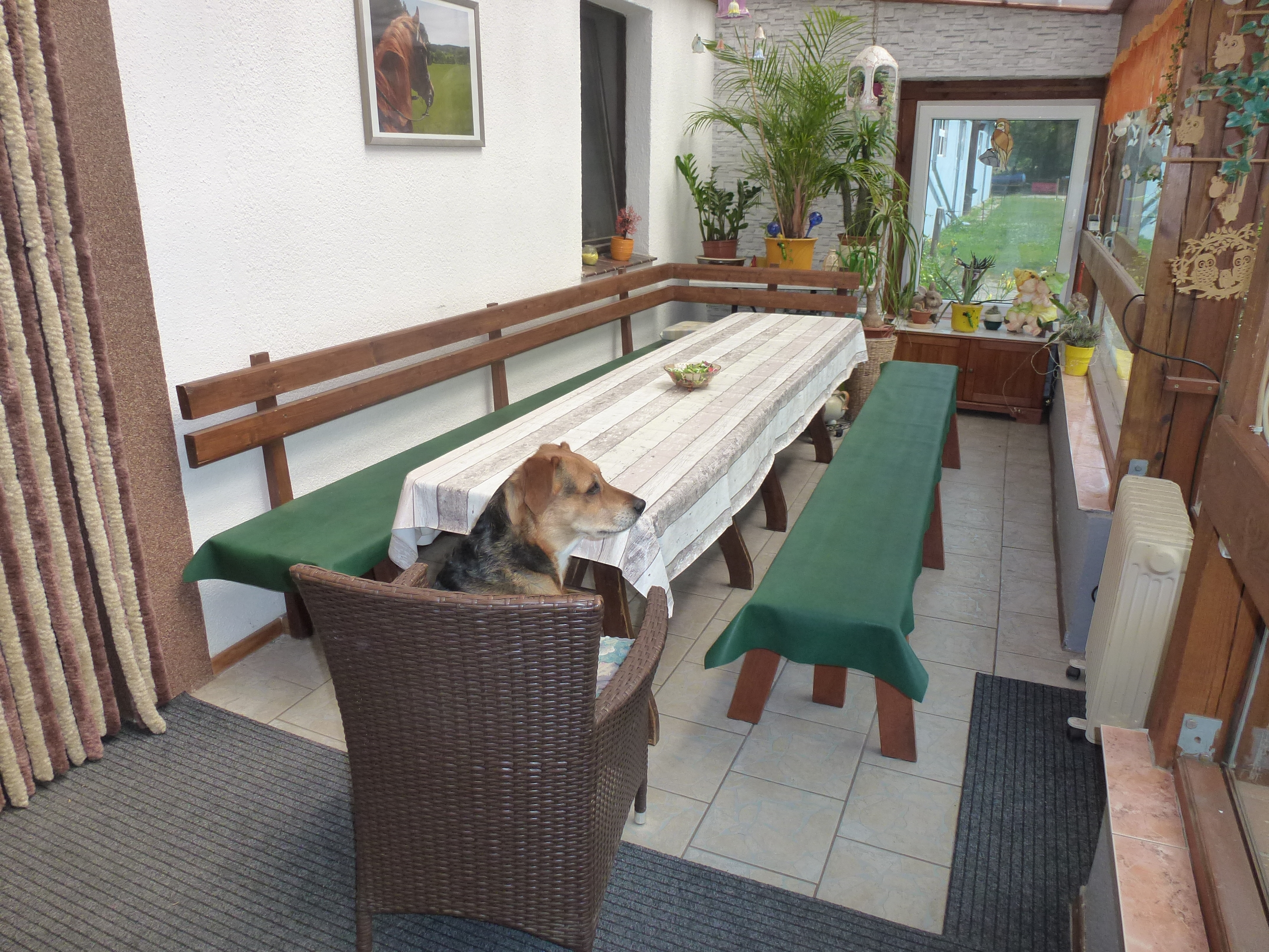 MonteurZimmer: Wintergarten - Reitpension Heidehof