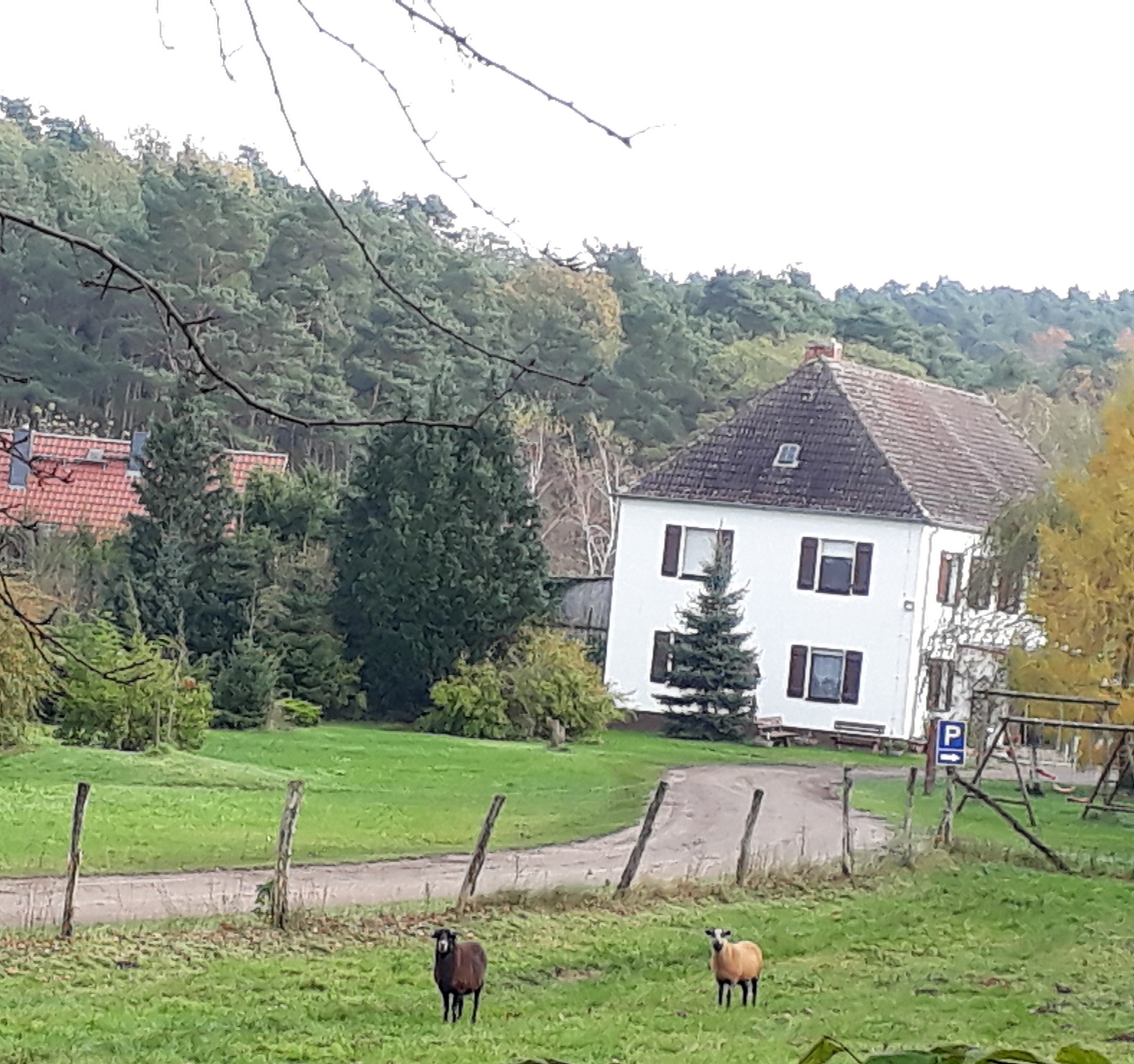 MonteurZimmer: Blick auf Hof - Reitpension Heidehof