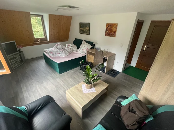 Monteur-Zimmer - Dresden - Zimmervermietung Abir