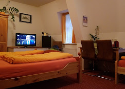 Monteur-Zimmer - Dresden - Gästehaus Loschwitz