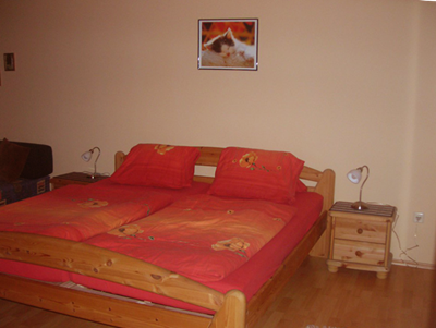 Monteur-Zimmer - Preis pro Nacht - Kapfenstein - Ferienwohnung Maier