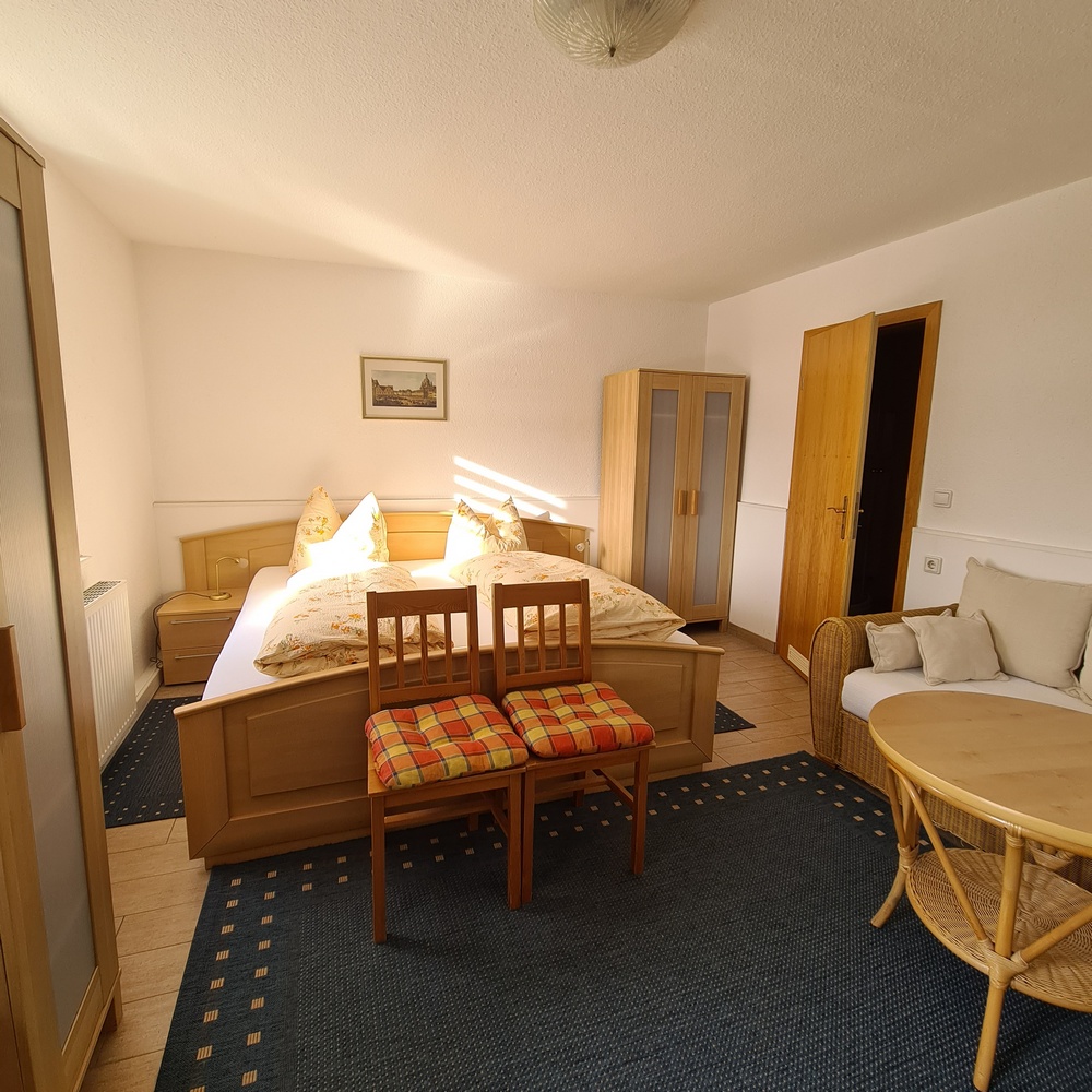 Monteur-Zimmer - Dresden - Pension in the green on the Elbe