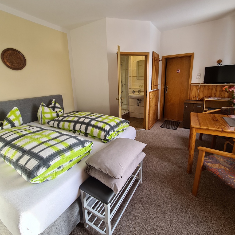 Monteur-Zimmer - Dresden - Pension in the green on the Elbe