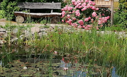 Monteur-Zimmer - Dresden - Pension Omsewitz