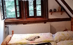 Monteur-Zimmer - Dresden - Pension Altbriesnitz