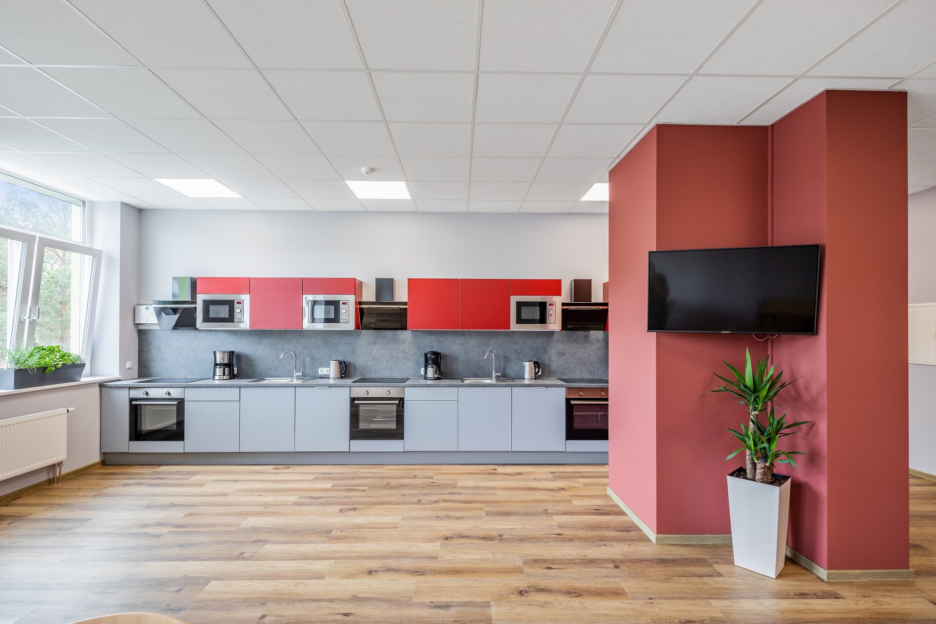 Monteur-Zimmer - Dresden - Hostel "Am Windberg"