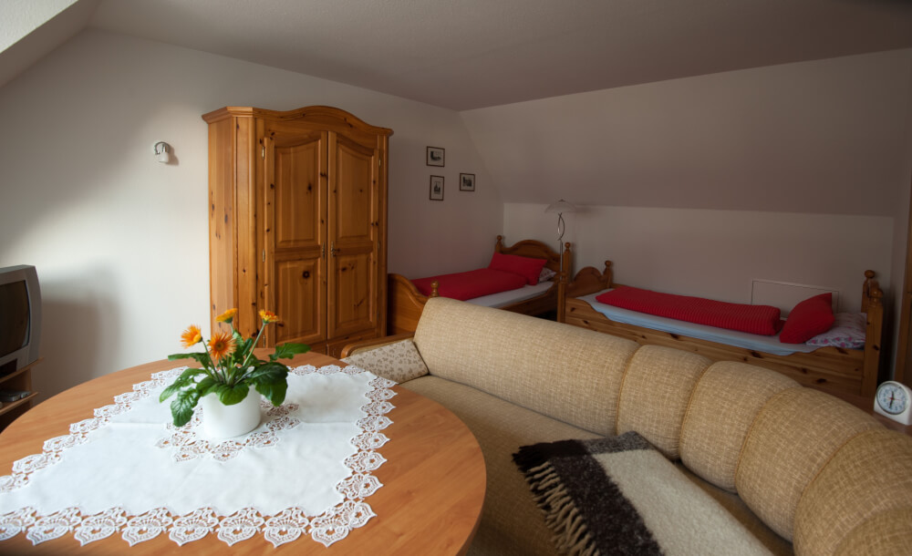 Monteur-Zimmer - Dresden - Stadtblick - Vermietung Monteurzimmer Dresden