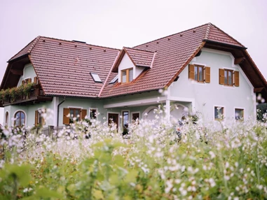 MonteurZimmer:  Gästehaus Panoramablick