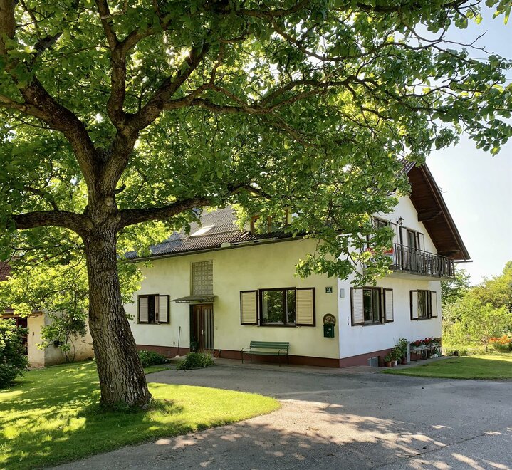 Monteur-Zimmer - Arzberg (Passail) - Ferienwohnung „Sternschnuppe“ Eichberg