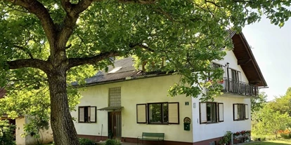 Monteur-Zimmer - Klettendorf - Ferienwohnung „Sternschnuppe“ Eichberg